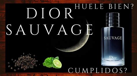 a que huele dior sauvage|sauvage dior cologne review.